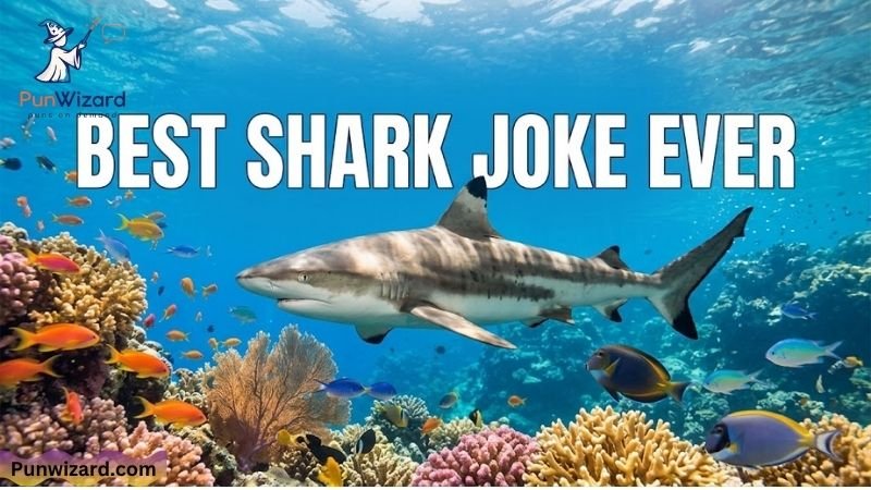 Best Shark Joke Ever