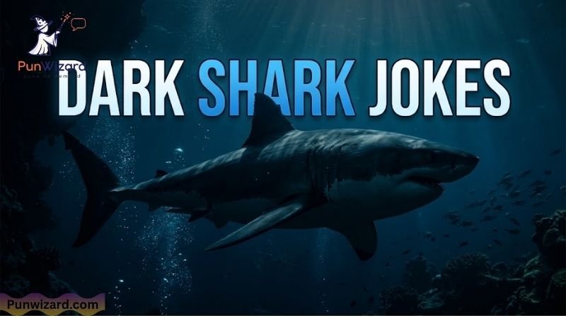 Dark Shark Jokes